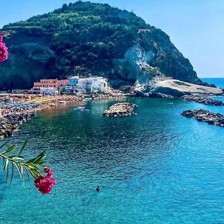 Mare Nostrum - Beachfront House - Sant'Angelo Ischia Exteriér fotografie