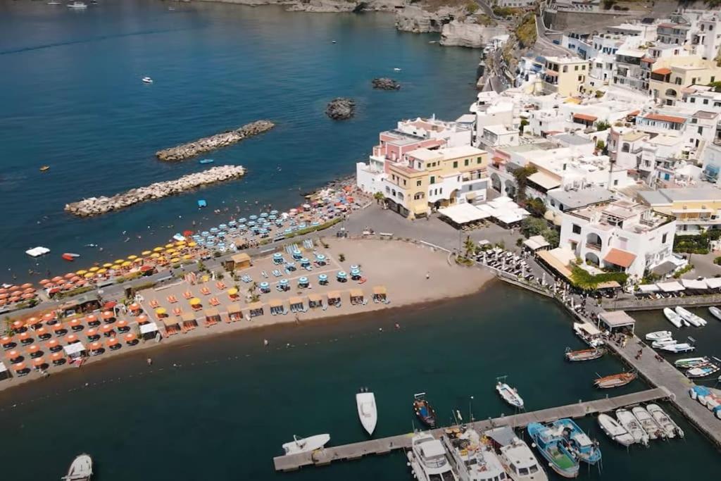 Mare Nostrum - Beachfront House - Sant'Angelo Ischia Exteriér fotografie